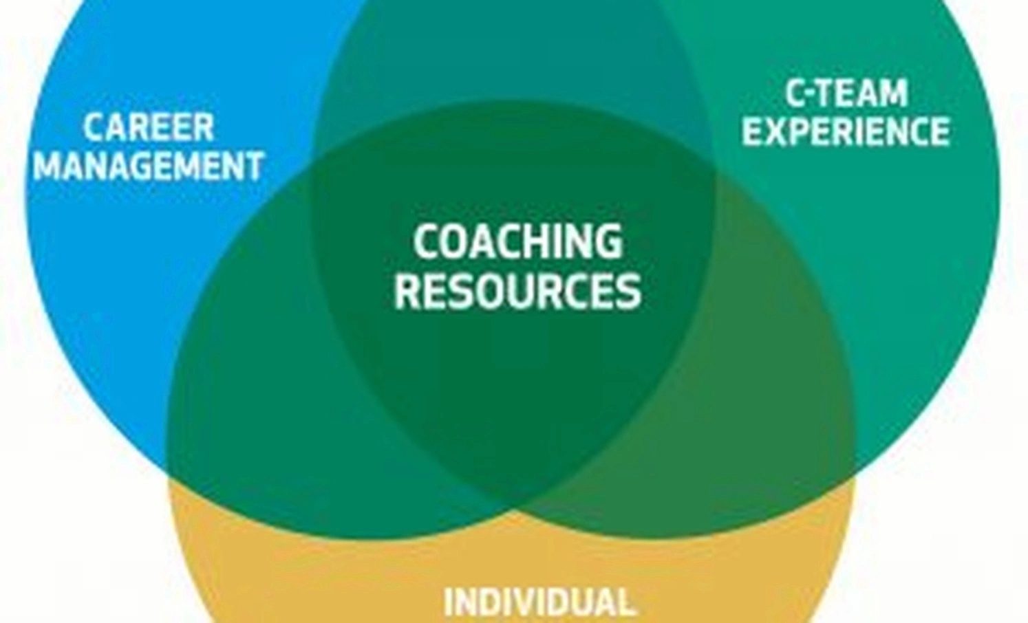 Management coaching program